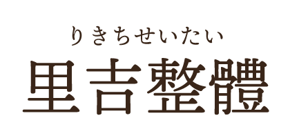 里吉整體